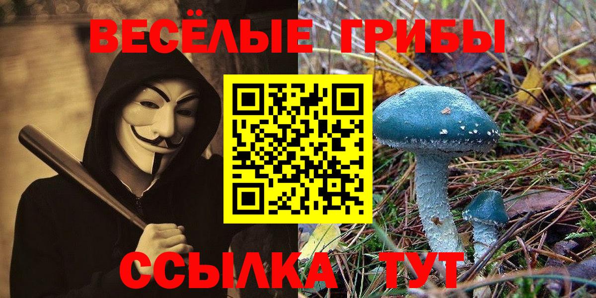 Галлюциногенные грибы MAGIC MUSHROOMS Элиста