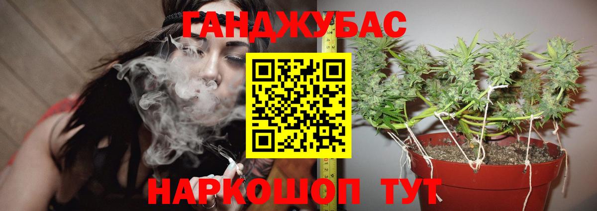 Элиста  Конопля SATIVA & INDICA  Вход с VPN  Конопля сатива 